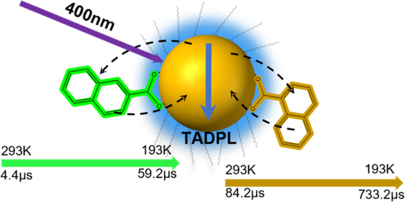 Engineering Long-Lived Blue Photoluminescence from InP Quantum Dots Using Isomers of Naphthoic Acid